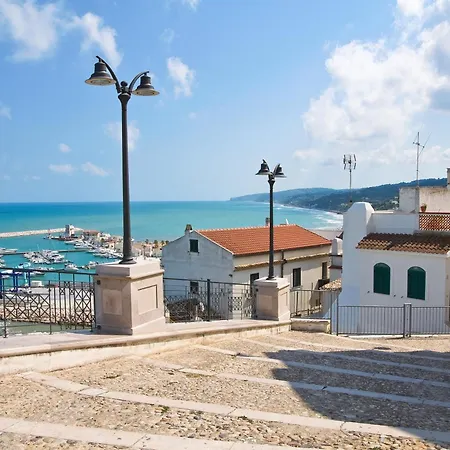 Marina Sleep And Ship